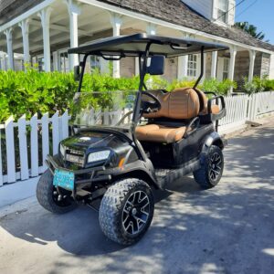 Luxury 4 Seater Lifted Golf Carts