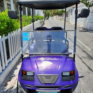 Standard 4 Seater Golf Cart