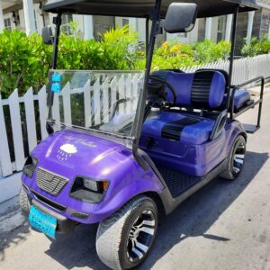 Standard 4 Seater Golf Cart