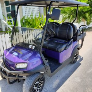 Premium 4 Seater Golf Cart