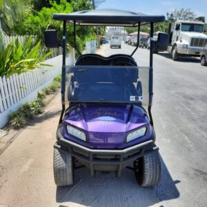 Premium 4 Seater Golf Cart
